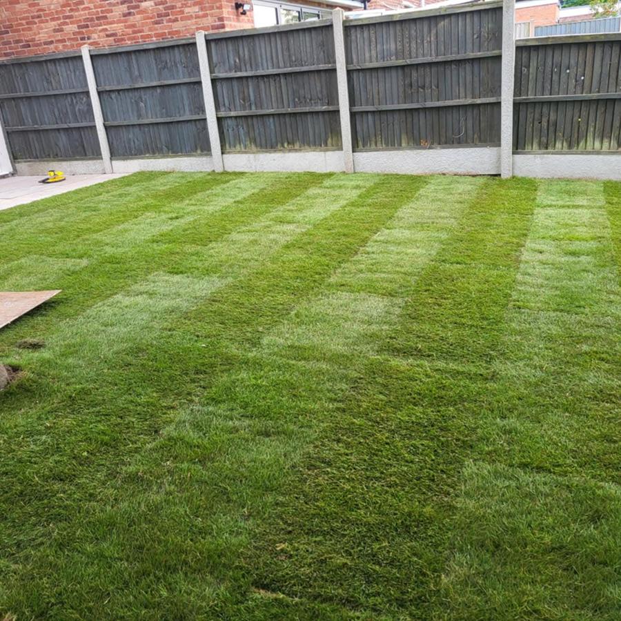 Freshly laid turf lawn