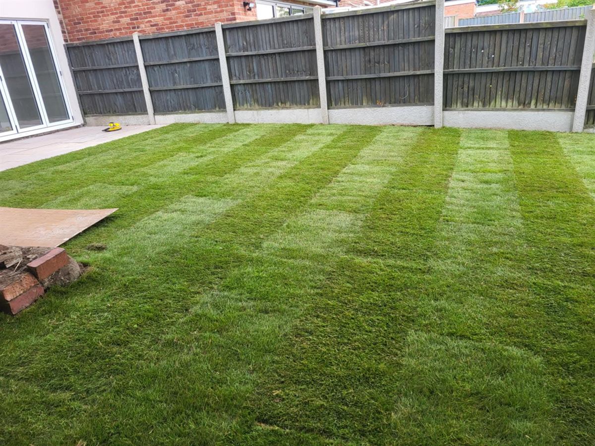 Freshly laid turf lawn with a striped cut